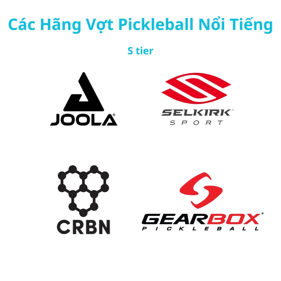 các hãng vợt pickleball nổi tiếng hạng S