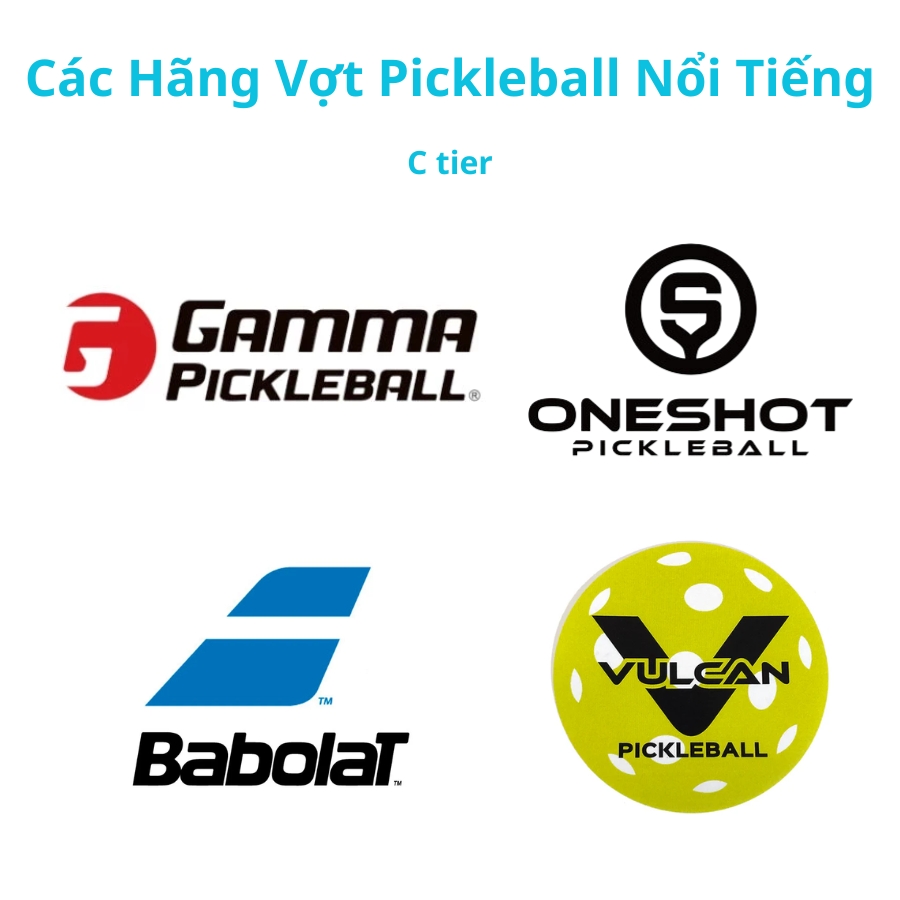 các thương hiệu vợt pickleball nổi tiếng hạng c