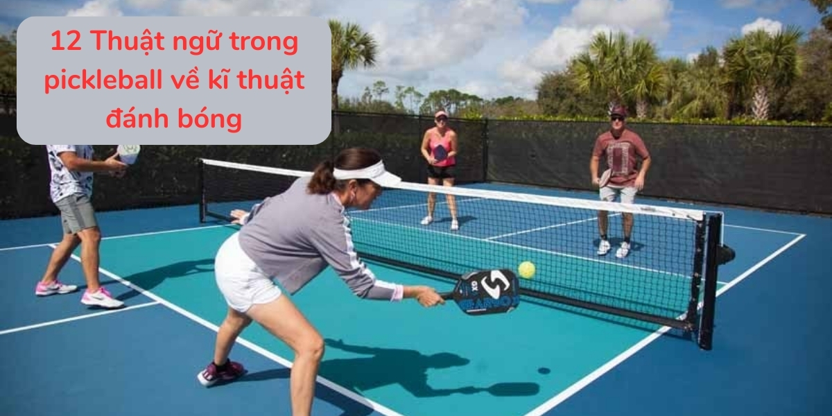 12 Thuật ngữ trong pickleball về kĩ thuật đánh bóng