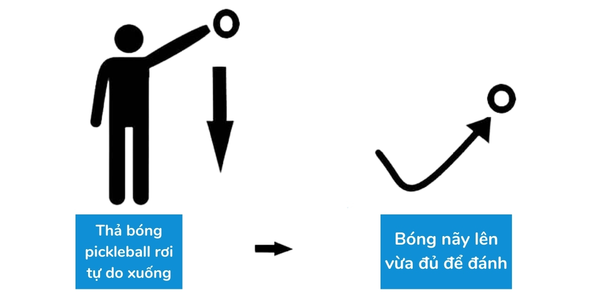 kỹ thuật drop serve trong giao bóng pickleball