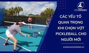 ảnh đại diện chọn vợt pickleball