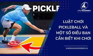 ảnh đại diện luật chơi pickleball