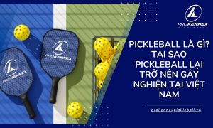 ảnh đại diện cho pickleball là gì