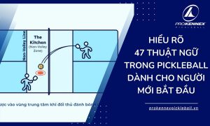 ảnh đại diện thuật ngữ trong pickleball