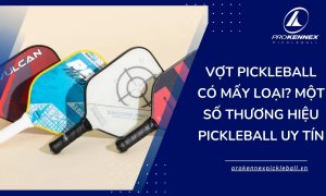 ảnh đại diện Vợt Pickleball Có Mấy Loại