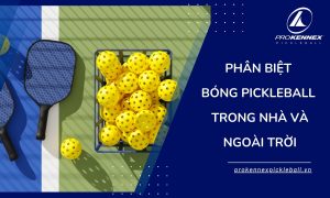 ảnh đại diện bóng pickleball trong nhà và ngoài trời