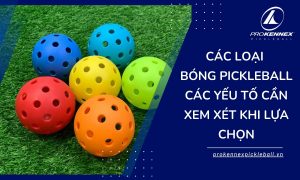 ảnh đại diện các loại bóng pickleball