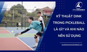 ảnh đại diện Kỹ Thuật Dink Trong Pickleball Là Gì