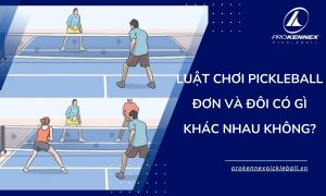 ảnh đại diện Luật Chơi Pickleball Đơn và Đôi Có Gì Khác Nhau Không?