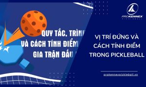 ảnh đại diện Tính Điểm Trong Pickleball